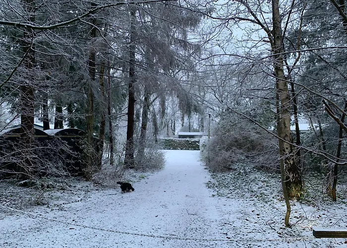 Gezellige Ruime Cottage, Prive, 2 Slaapkamers, Hond Welkom!