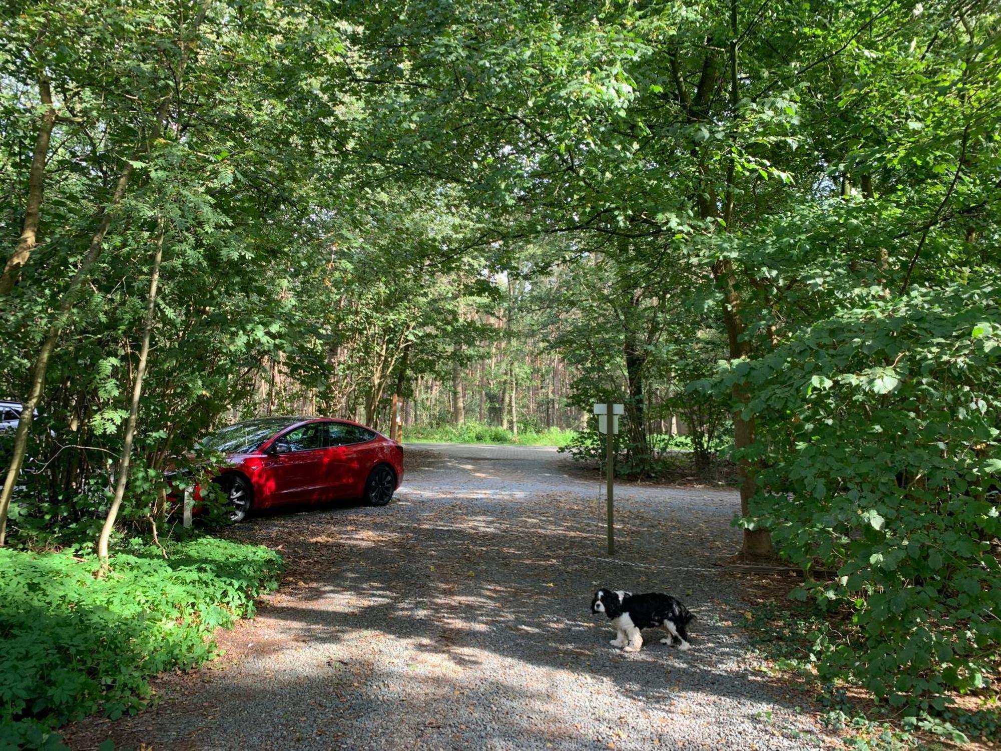 Gezellige Ruime Cottage, Prive, 2 Slaapkamers, Hond Welkom! Campingplatz Hattemerbroek