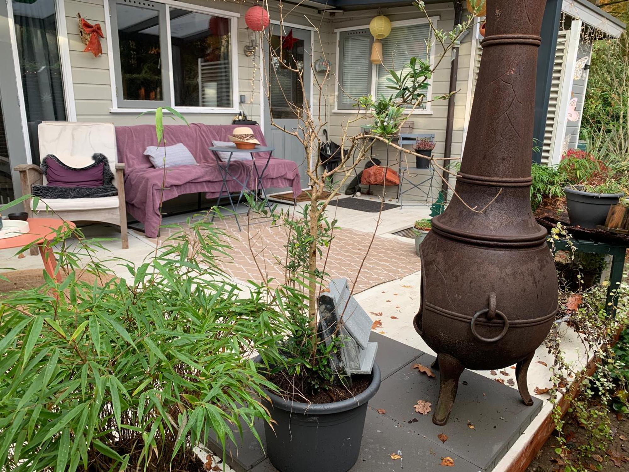 Gezellige Ruime Cottage, Prive, 2 Slaapkamers, Hond Welkom! Hattemerbroek