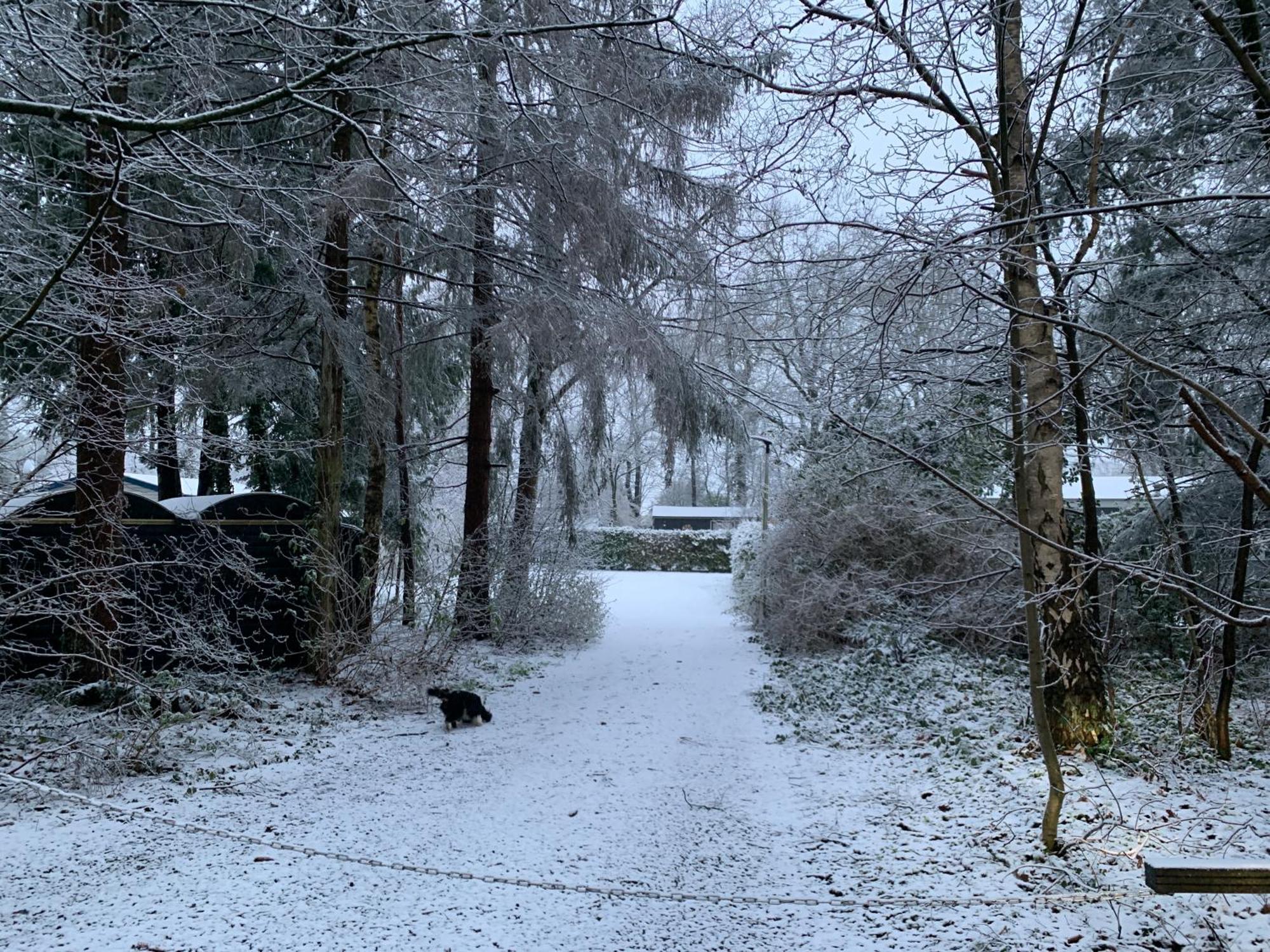 Gezellige Ruime Cottage, Prive, 2 Slaapkamers, Hond Welkom! * Hattemerbroek